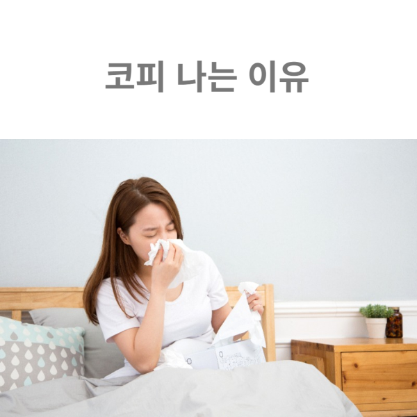 코피 나는 이유