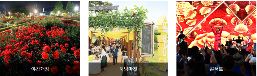 2025 곡성세계장미축제 일정·장소·입장료·프로그램 총정리