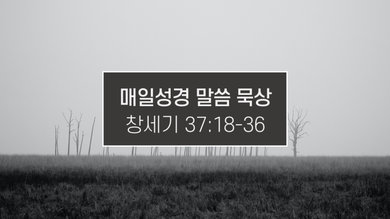 썸네일-황량한-들판에-잎이-떨어진-나무들