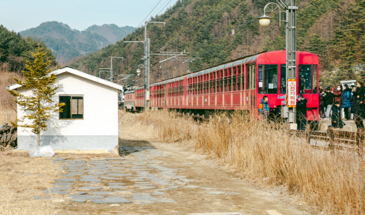 백두대간 협곡열차