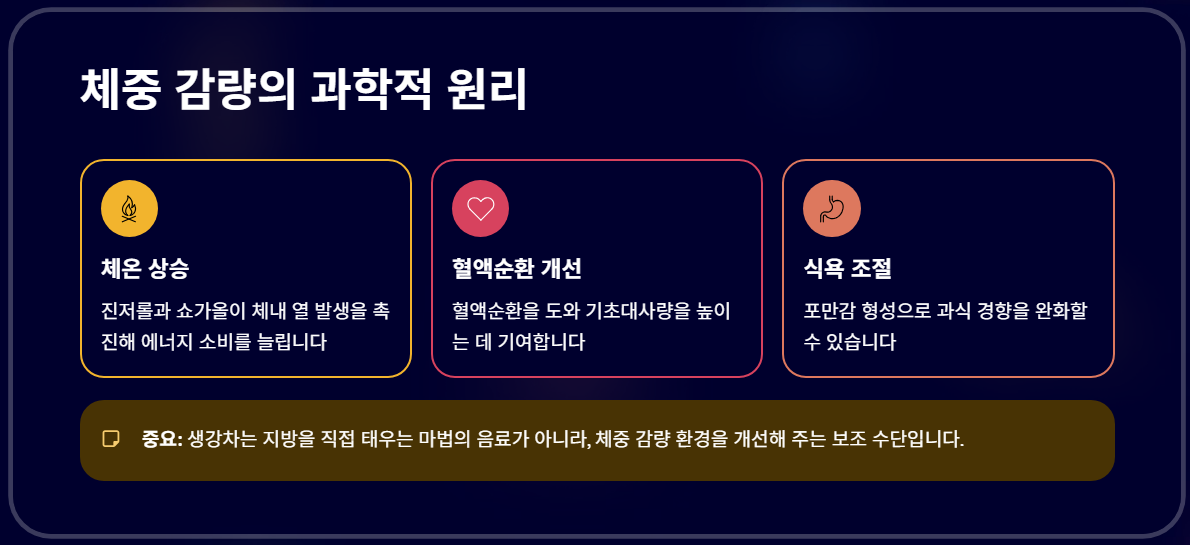 생강차 다이어트 좋은 차 먹는 법