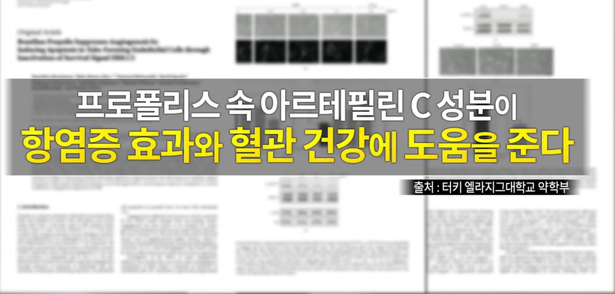 프로폴리스 효능