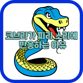 코브라가 피리 소리에 반응하는 이유