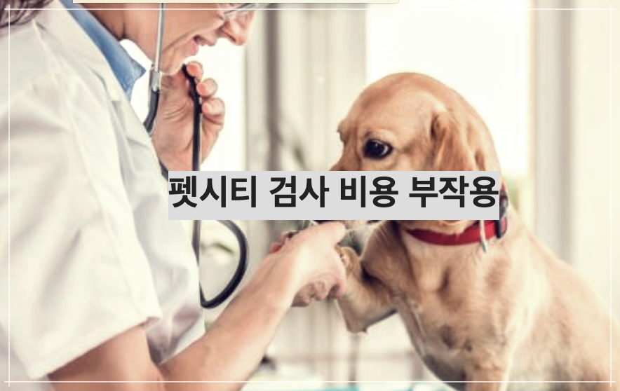 펫시티 검사 비용 부작용