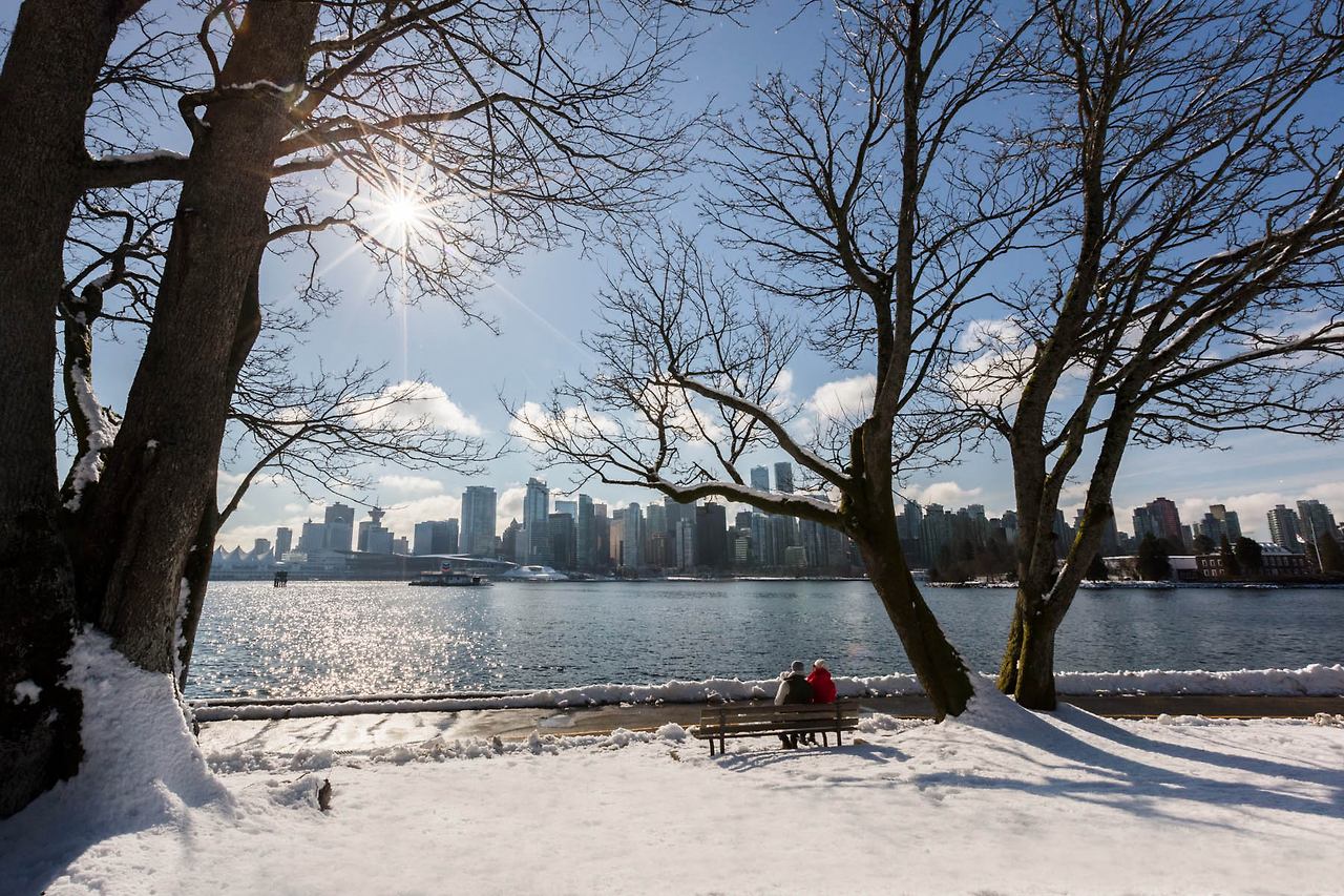 캐나다 연말에 하면 좋은 것들