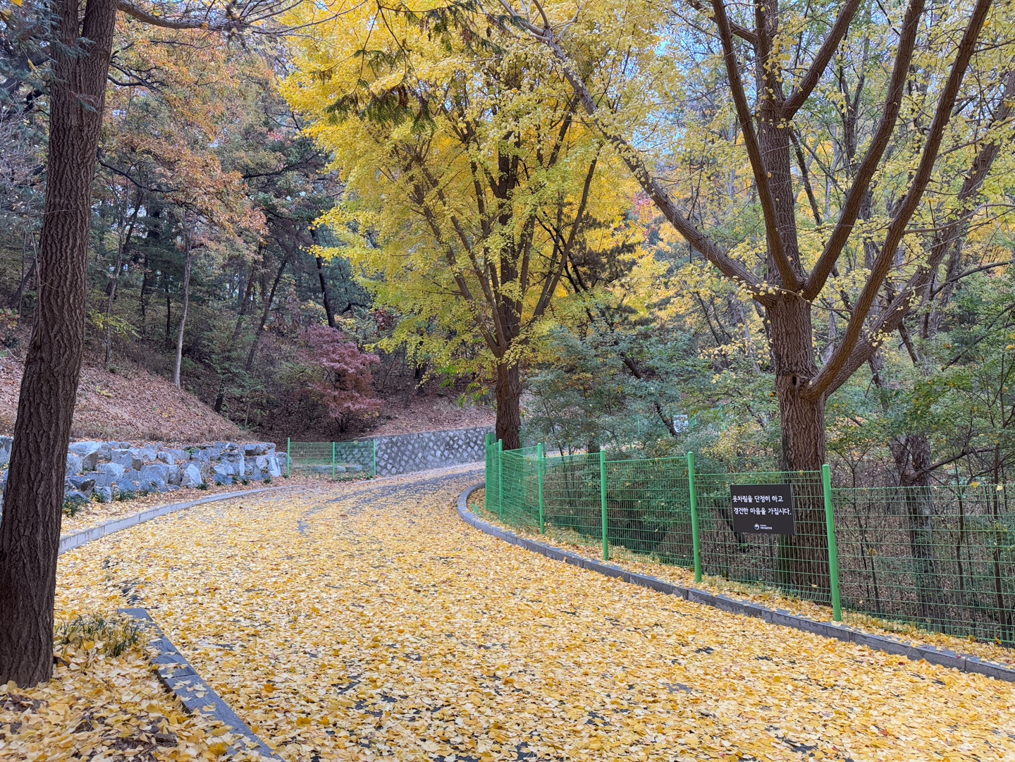 국립현충원