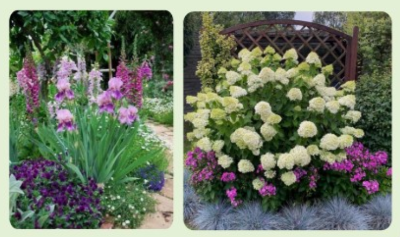 관광테마골목-정원식재