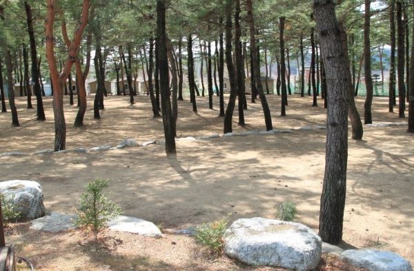 바다캠핑장-일반사이트