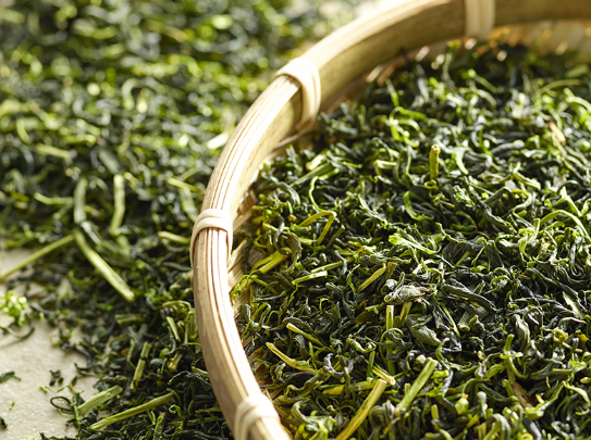 녹차 효능 정리