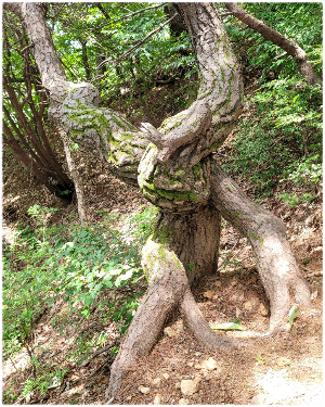 갑하산