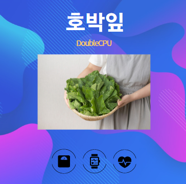 호박잎 알아보기