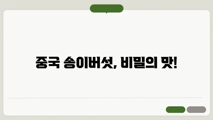 중국 송이버섯