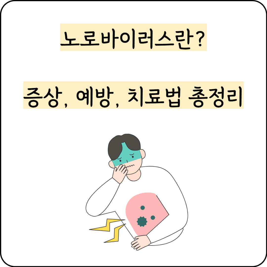 노로바이러스란? 증상, 예방, 치료법