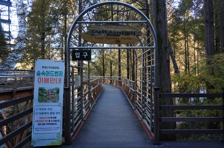 장태산자연휴양림5