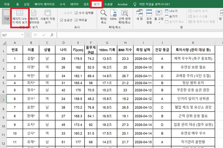 상단 보기 메뉴에 페이지 나누기 미리 보기 메뉴 보임
