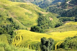 베트남 여행 추천 사파 Sapa