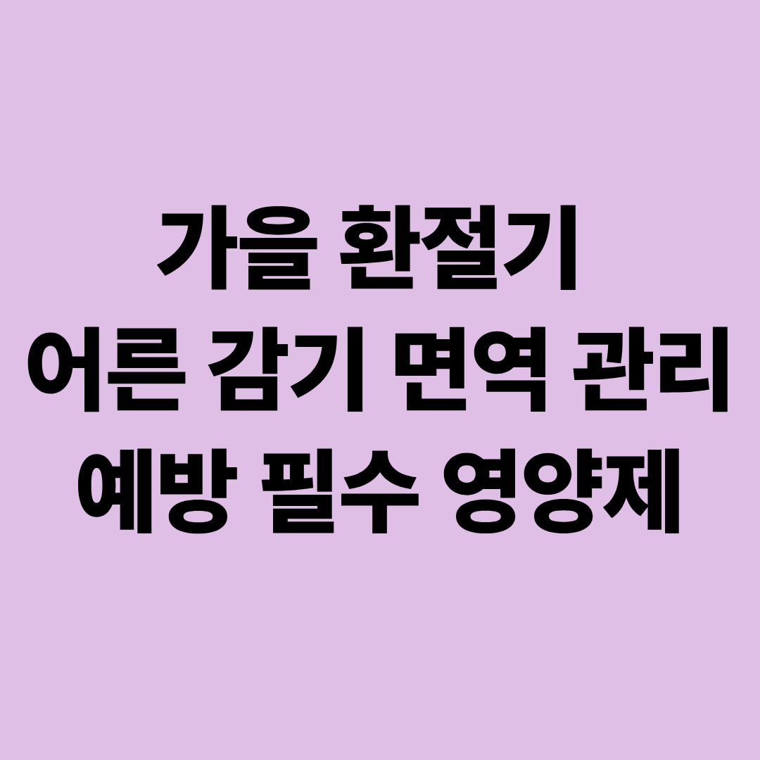 가을 환절기 어른 감기 면역 관리 예방 필수 영양제