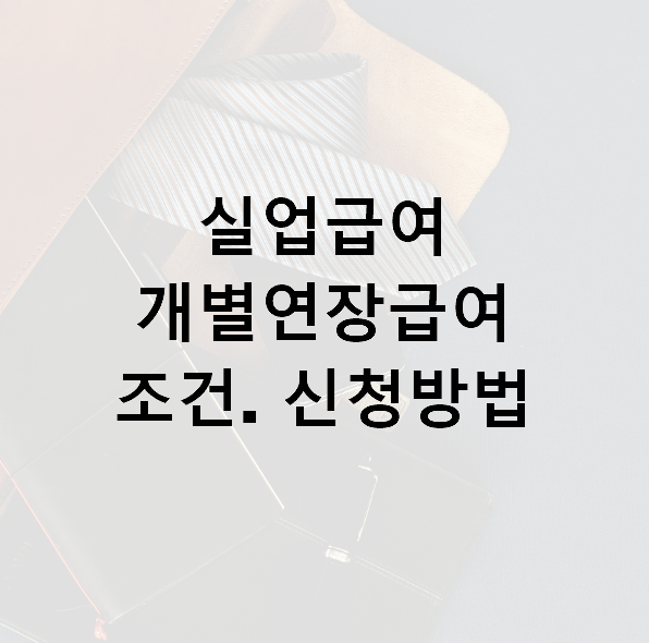 실업급여개별연장급여