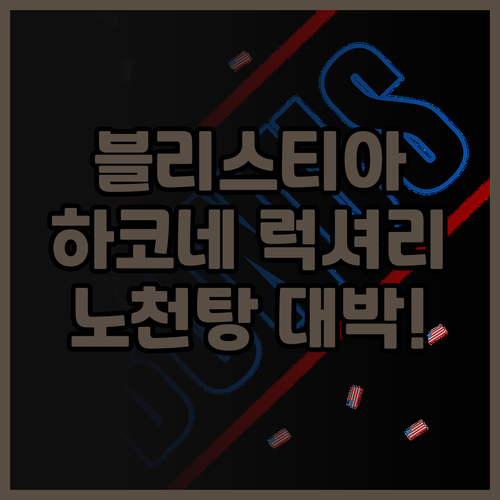 블리스티아 하코네 센고쿠하라 전 객실..