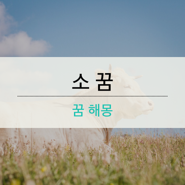소 꿈 해몽