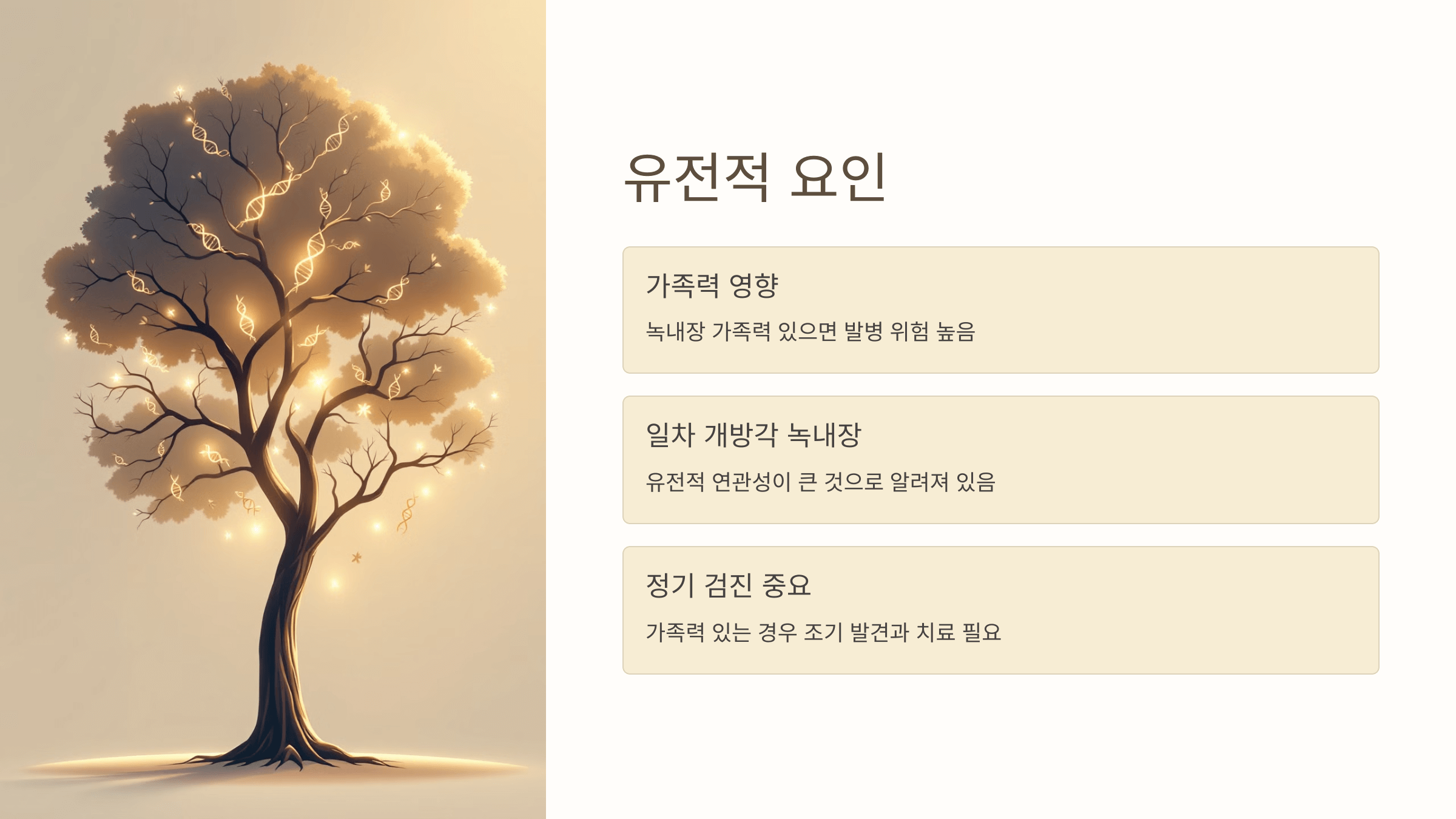 녹내장과 관련된 사진입니다.