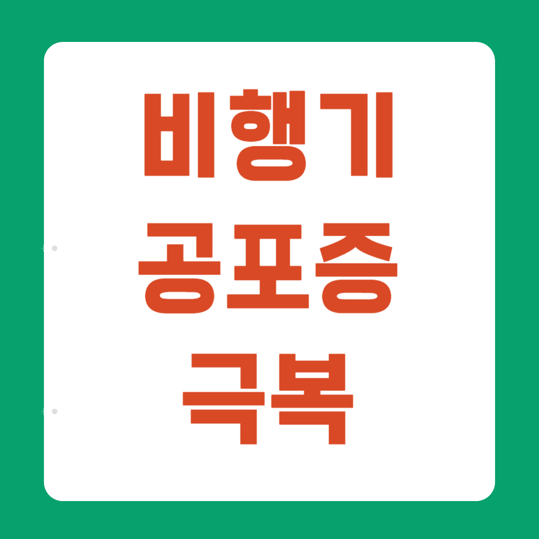 비행기 공포증 극복