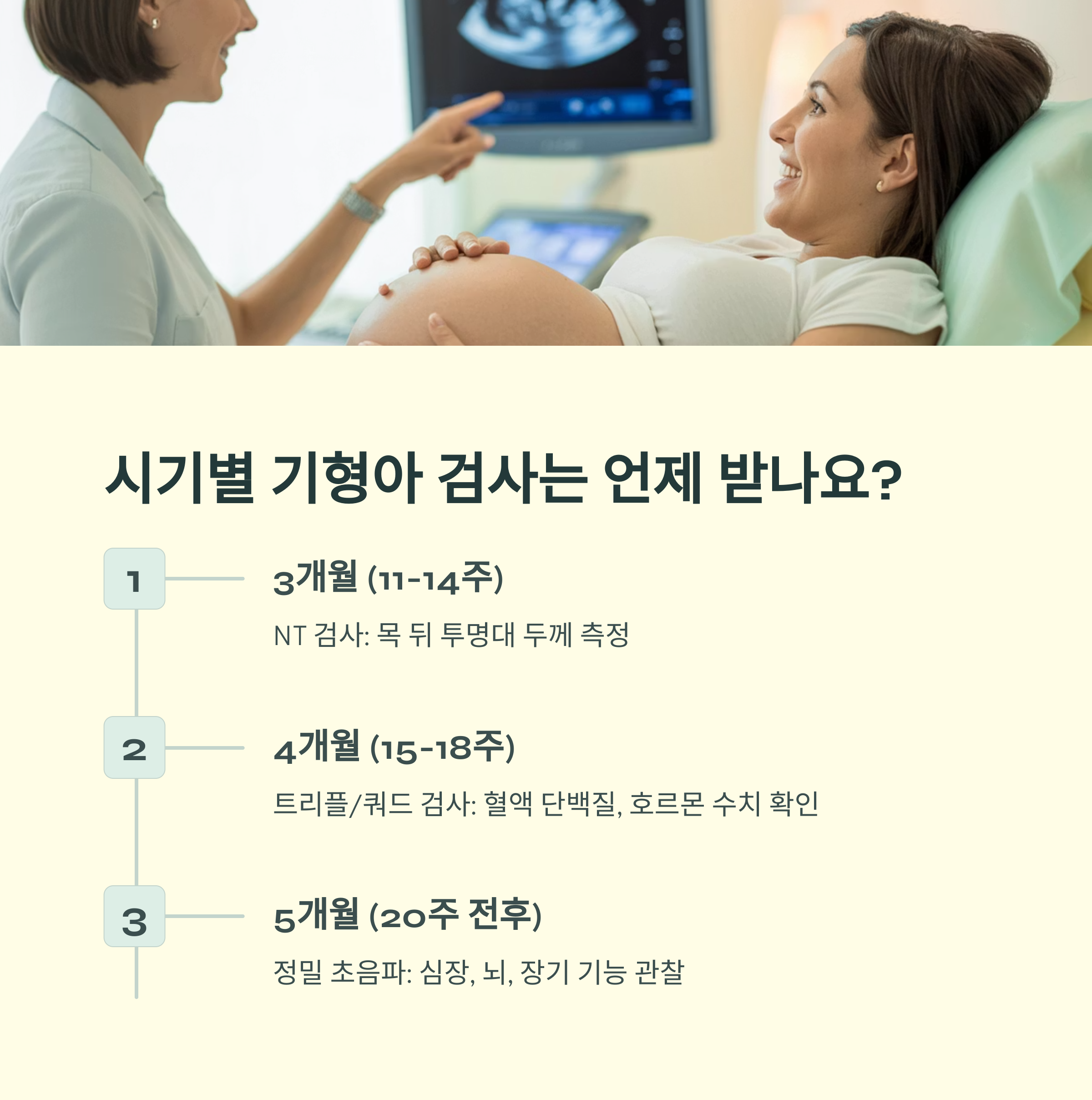 기형아 검사를 임신 시기별로 3개월, 4개월, 5개월로 구분하여 어떤 검사가 이뤄지는지를 안내하는 인포그래픽 이미지