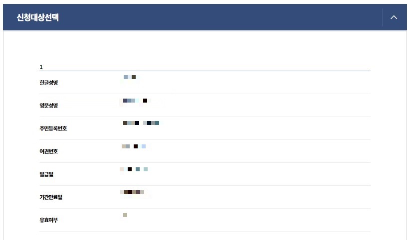 정부24 여권 실효확인서 조회 결과