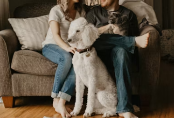 임대차 계약 시 반려동물 조항, 집주인과 세입자의 권리와 의무