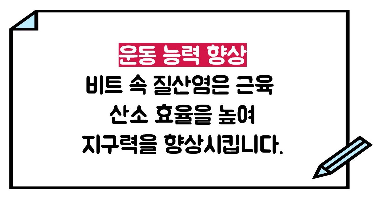 비트 효능
