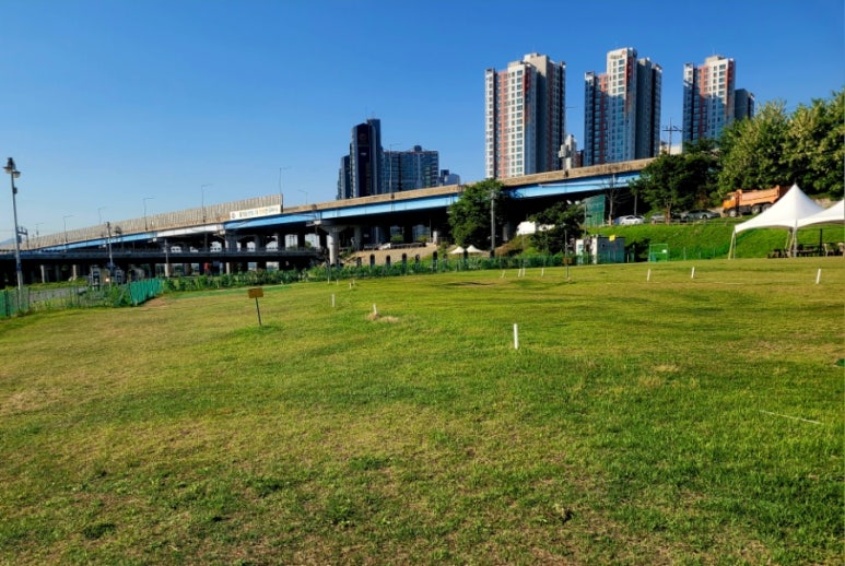 남양주 왕숙천 파크골프장 전경