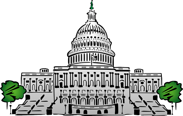 국회 국민동의청원 홈페이지10