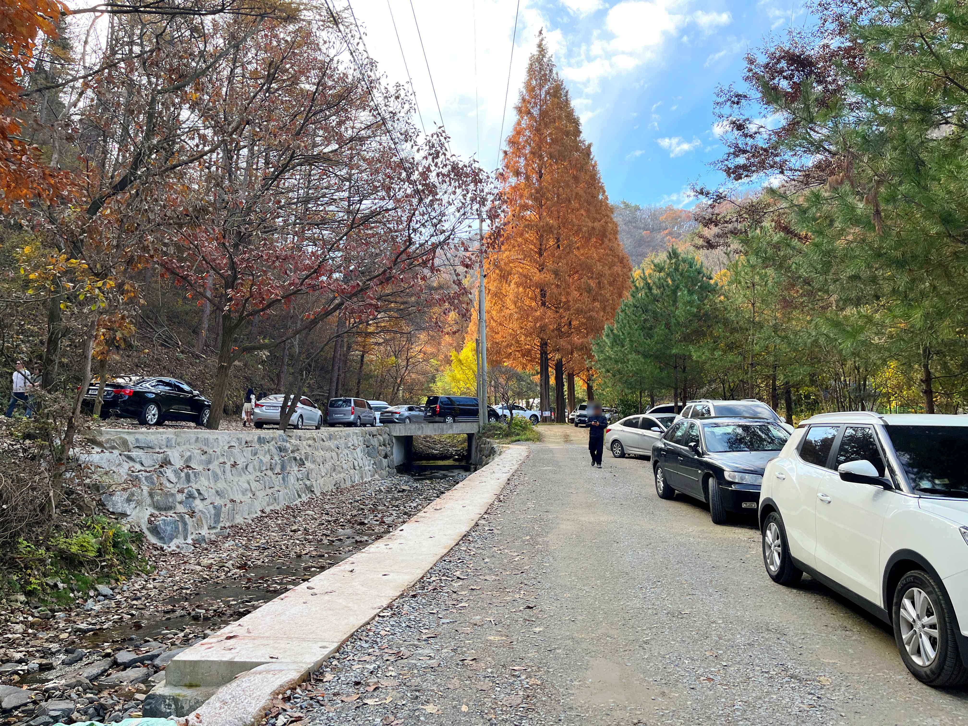 온빛자연휴양림