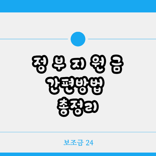 정보지원금