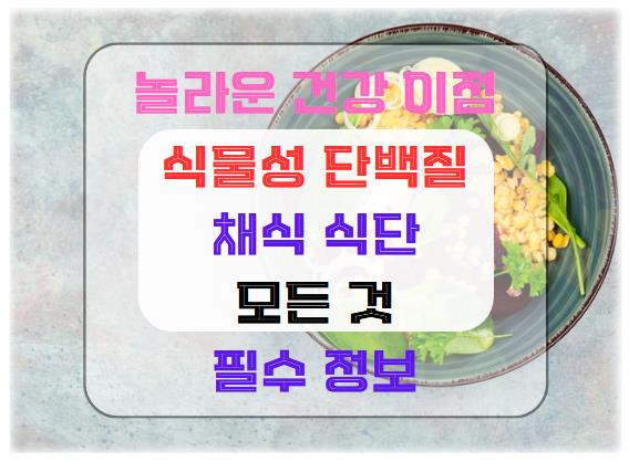 식물성 단백질의 놀라운 건강 이점과 채식 식단에 대한 모든 것