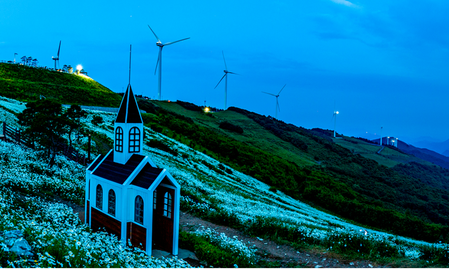 평창육백마지기 별빛축제1