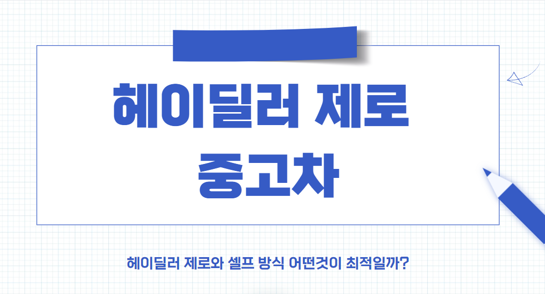 헤이딜러 제로