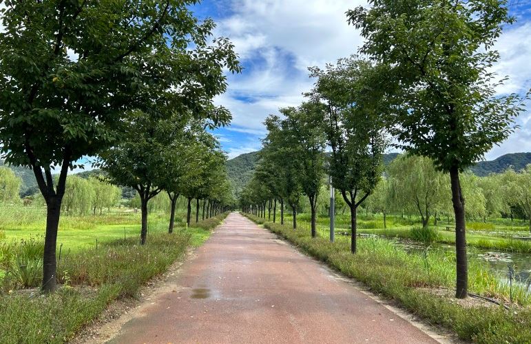 나는솔로 17기 촬영지