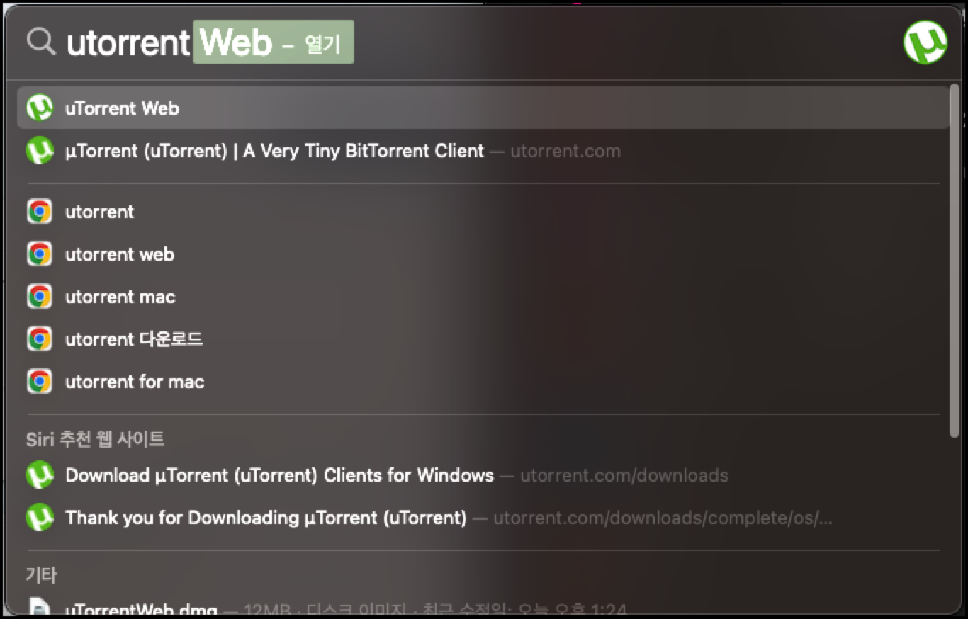 토렌트 웹 실행