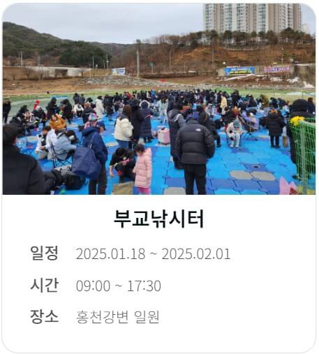 2025 홍천강 꽁꽁축제