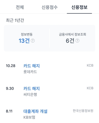 신용정보조회내역