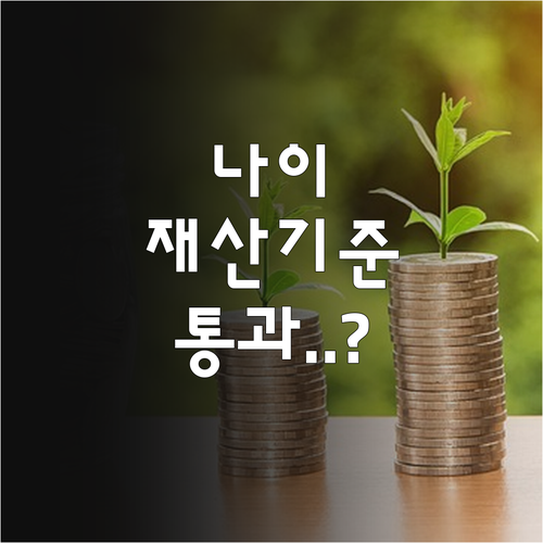 청년내일저축계좌 나이 제한과 지역별 ..