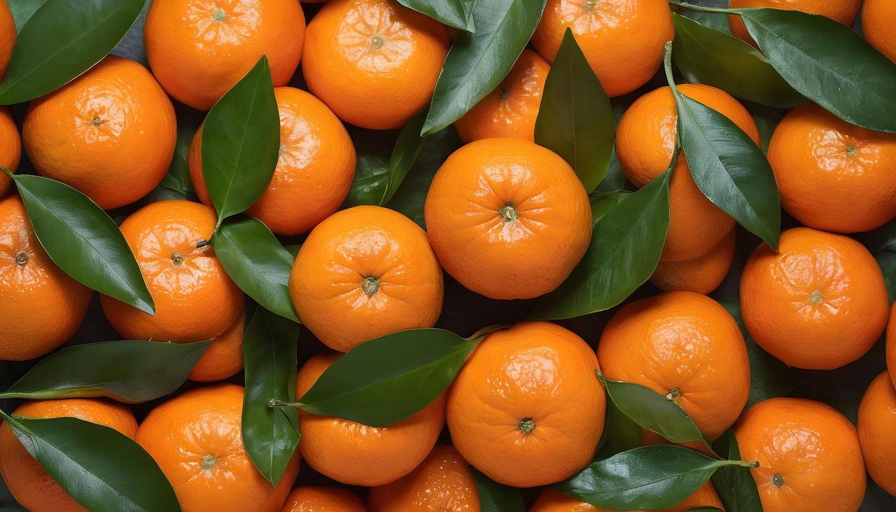 귤이 다같이 모여있는 사진