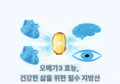 오메가3 효능, 건강한 삶을 위한 필수 지방산