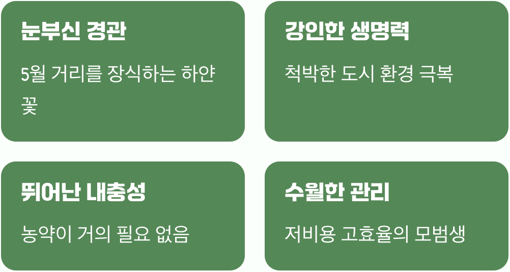 아름다움과 강인함&amp;#44; 두 마리 토끼를 잡다