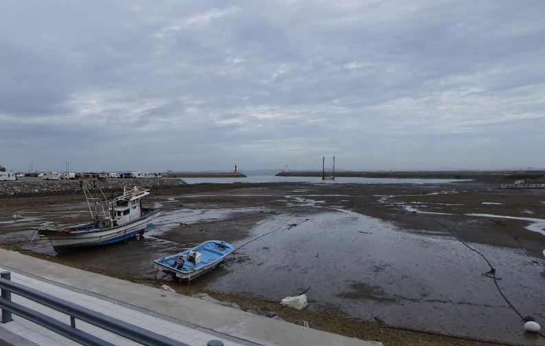 생생정보 택시맛객 오백 년 역사의 숨결 따라 떠나는 당진 여행 기지시줄다리기축제&middot;골정저수지&middot;민영이네횟집