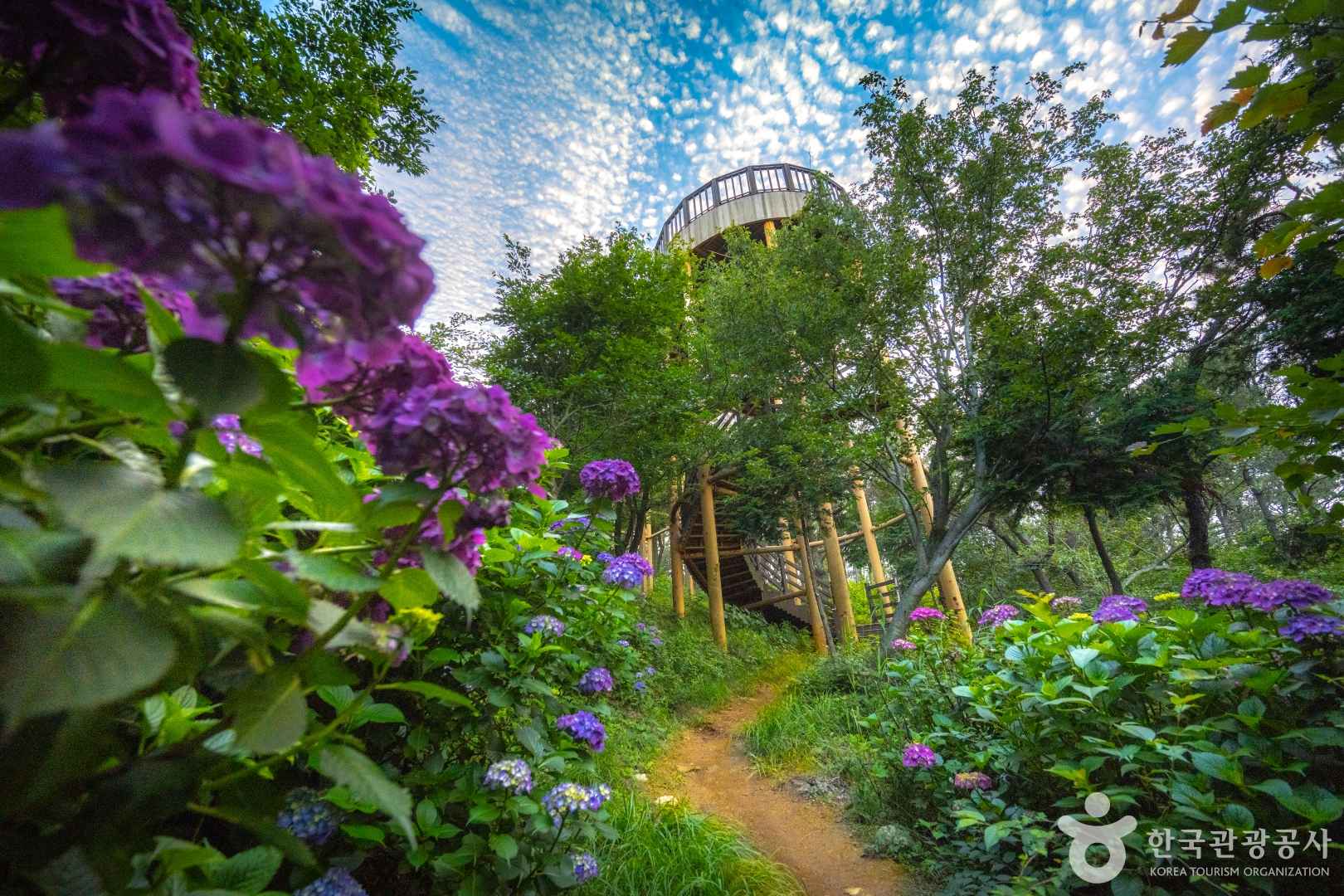 부산 봉래산 둘레길