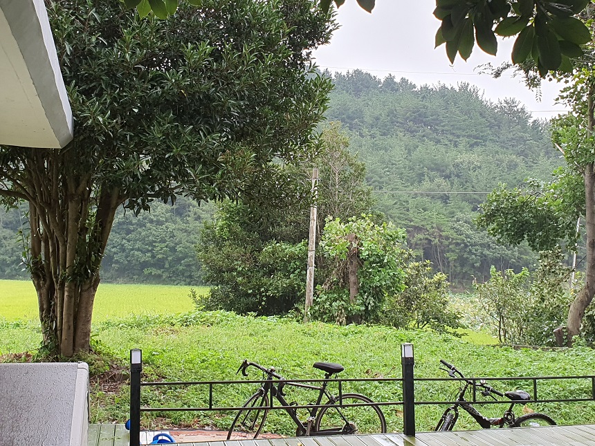 자전거타기효과