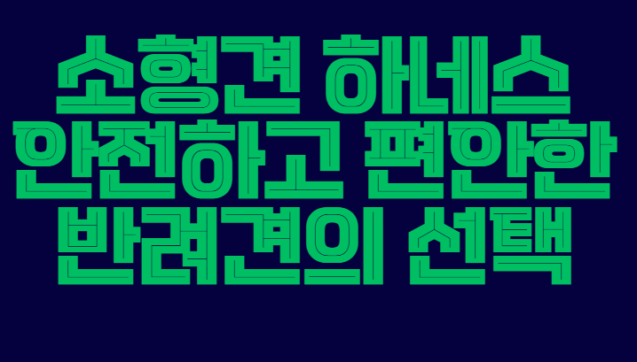 소형견_하네스