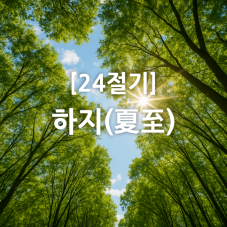 하지 링크 썸네일